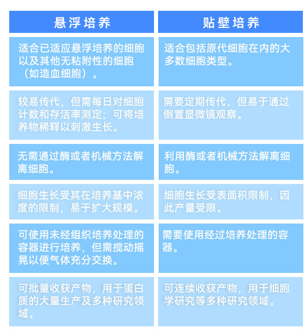懸浮培養(yǎng)和貼壁培養(yǎng)